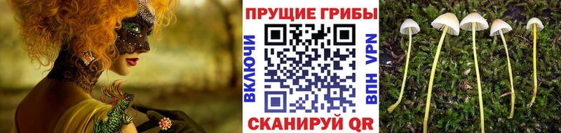 Галлюциногенные грибы ЛСД где купить наркоту Буинск